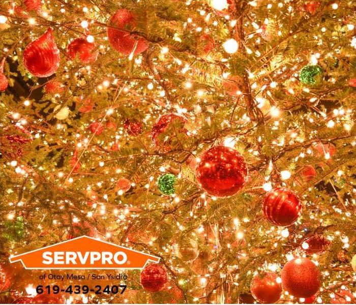 A Christmas tree is decorated with bright light and colorful bulbs.