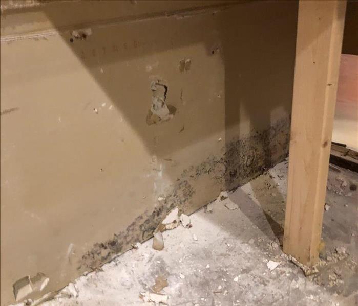 Mold growth behind the cabinets of a kitchen in a San Diego home